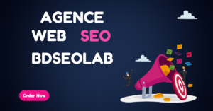 Benefits of Hiring an Agence Web SEO for Your Website by bdseolab