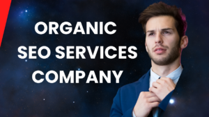 Best Organic SEO Services Company 2024 by BD SEO LAB